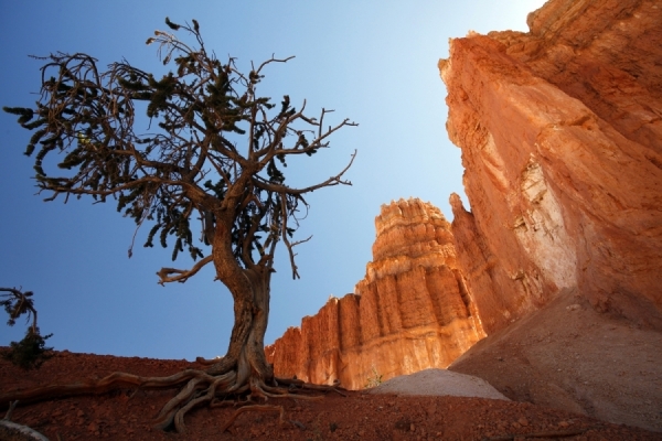 Photograph Marieke Van Grinsven Bryce Canyon on One Eyeland